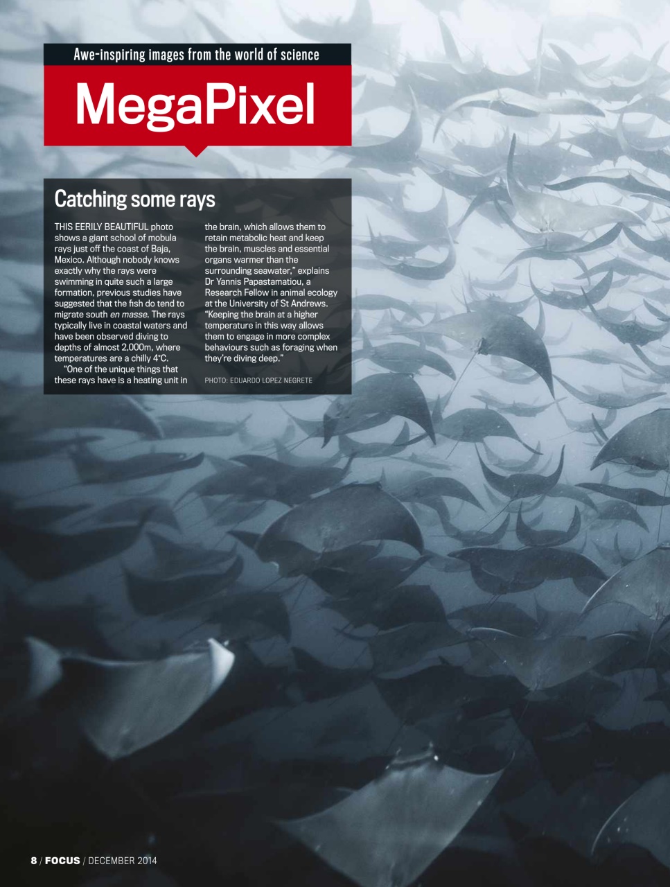 BBC Science Focus Magazine Preview Pages