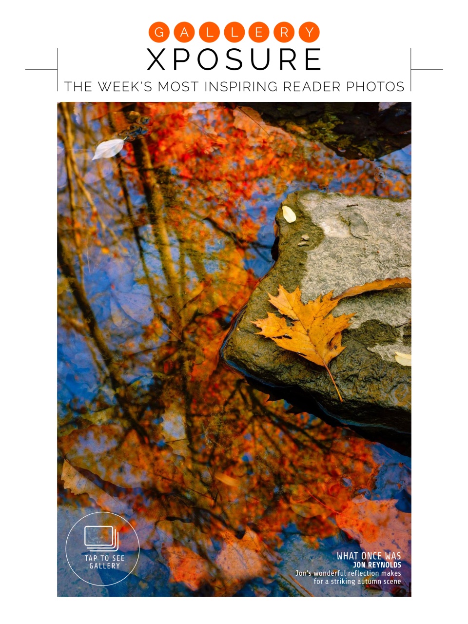 Photography Week Preview Pages