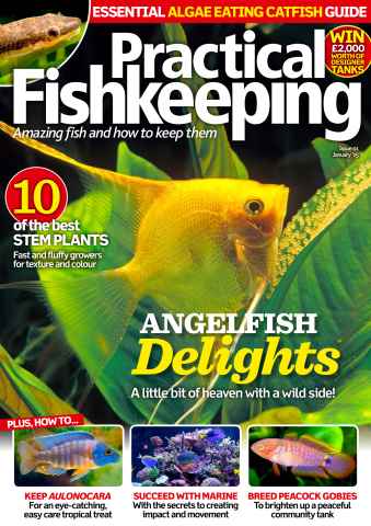 Practical Fishkeeping issue January 2015