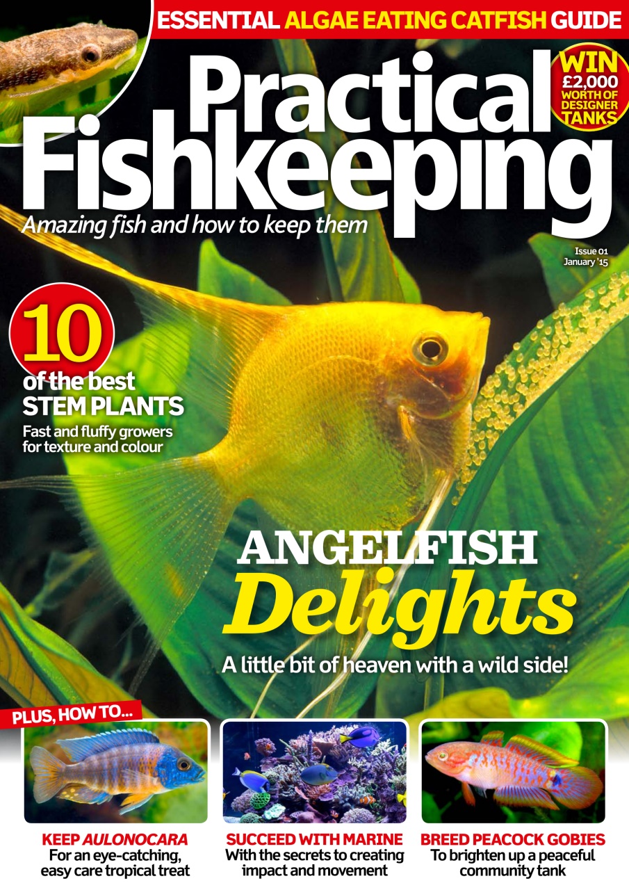 Practical Fishkeeping Preview Pages