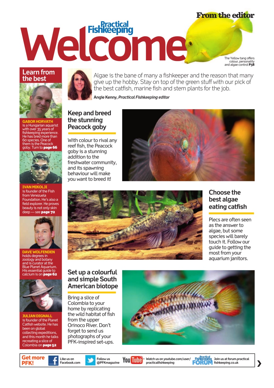 Practical Fishkeeping Preview Pages