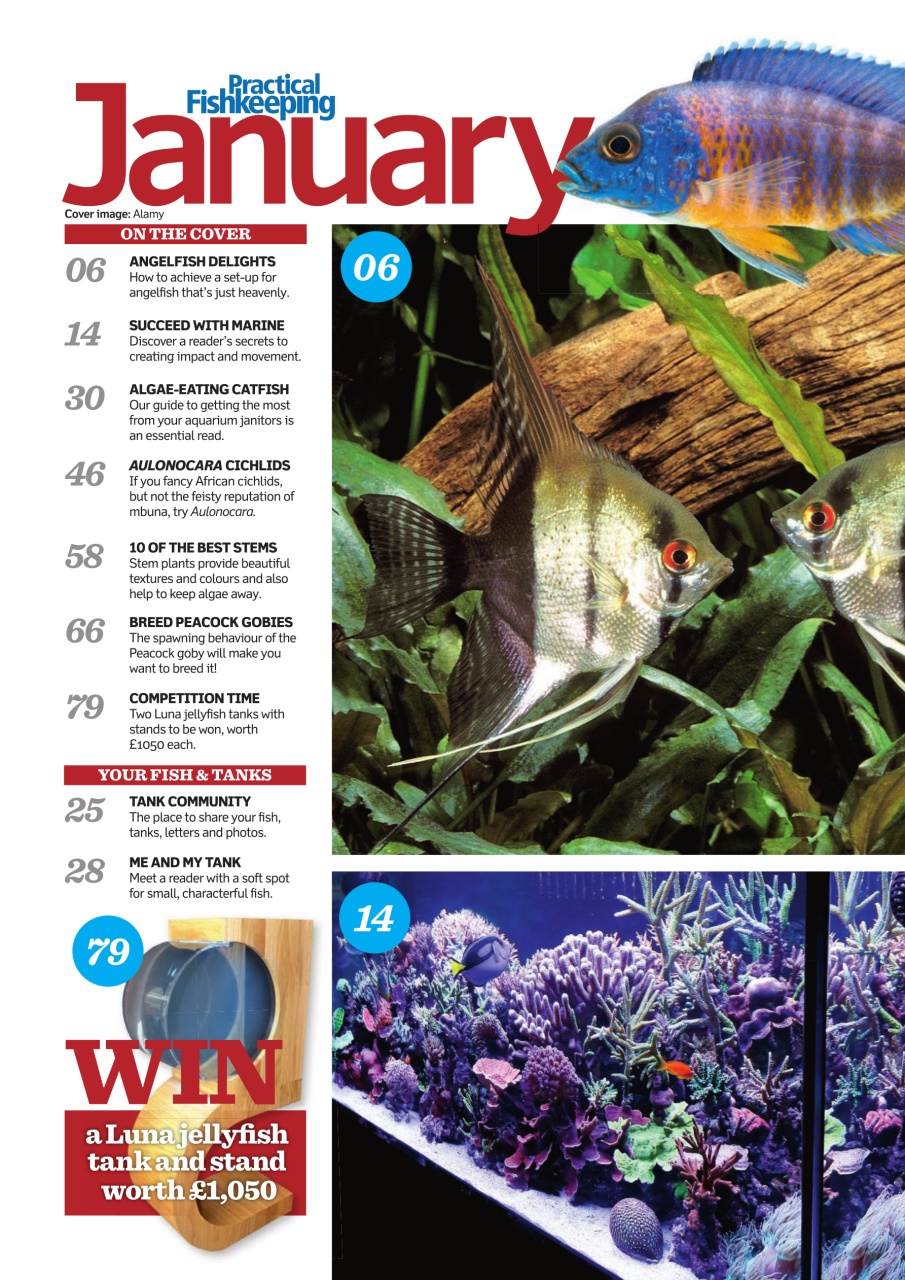 Practical Fishkeeping Preview Pages