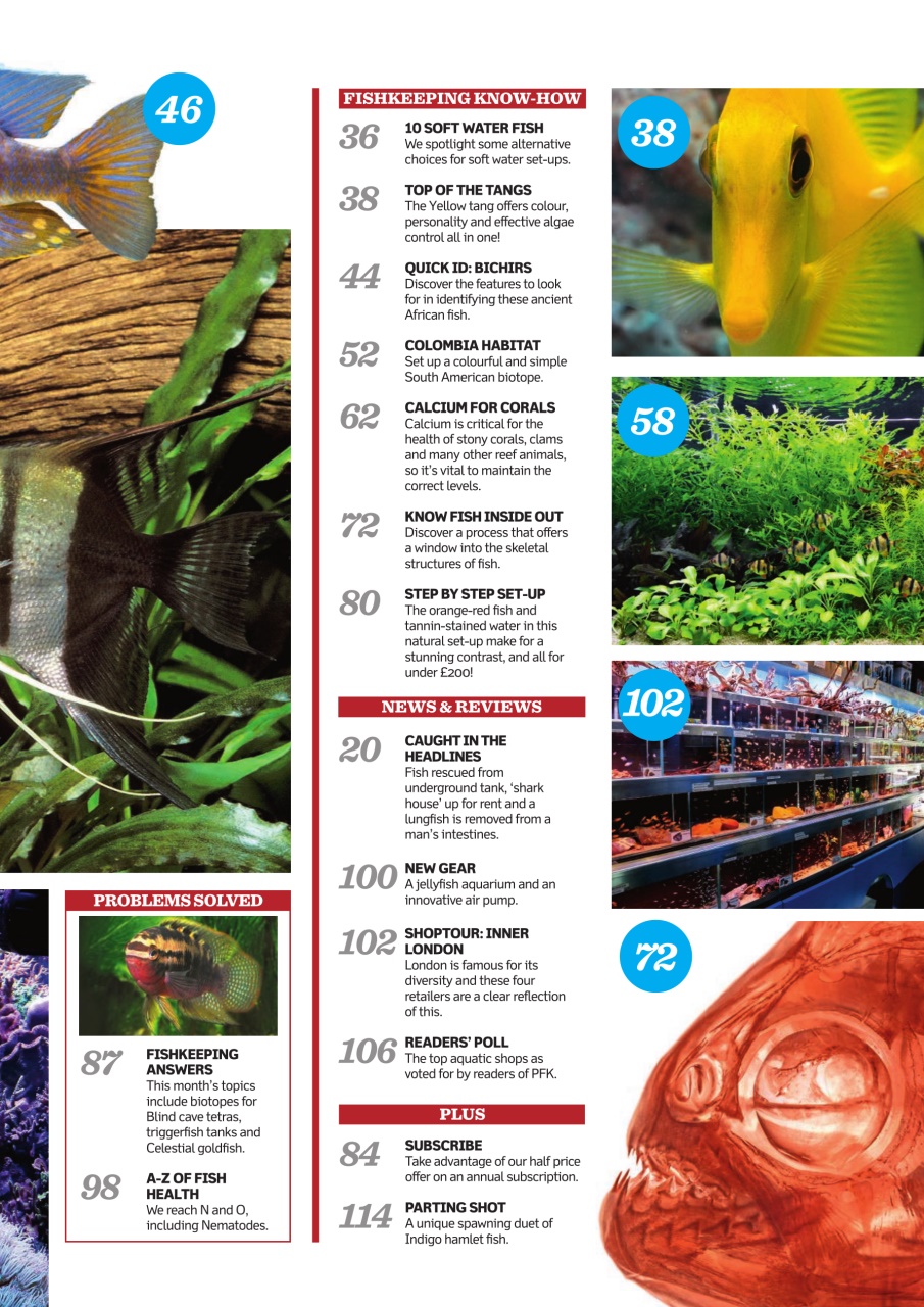 Practical Fishkeeping Preview Pages