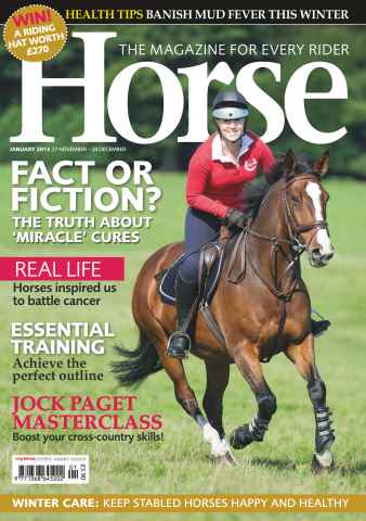 Horse issue January 2014