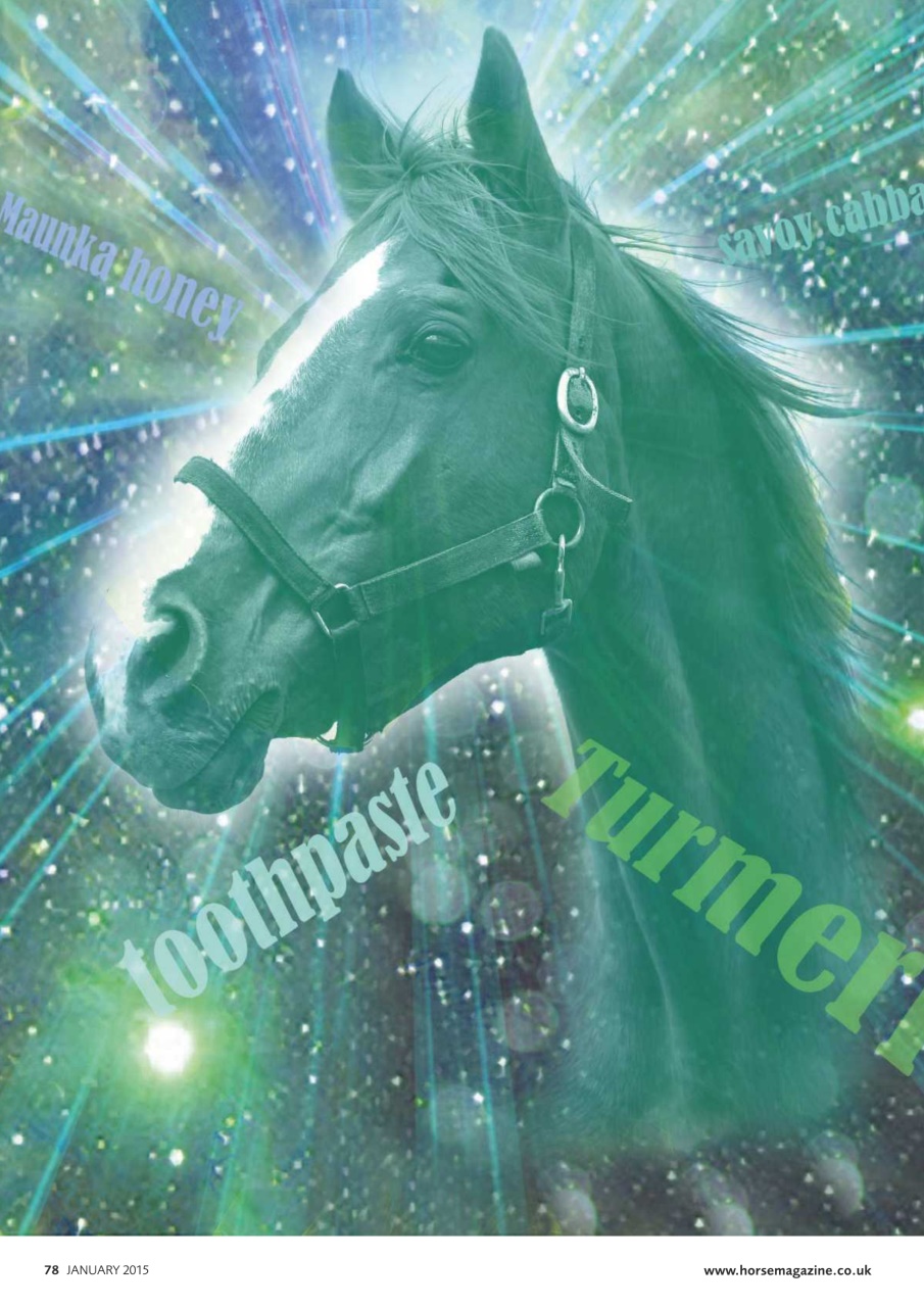 Horse Preview Pages