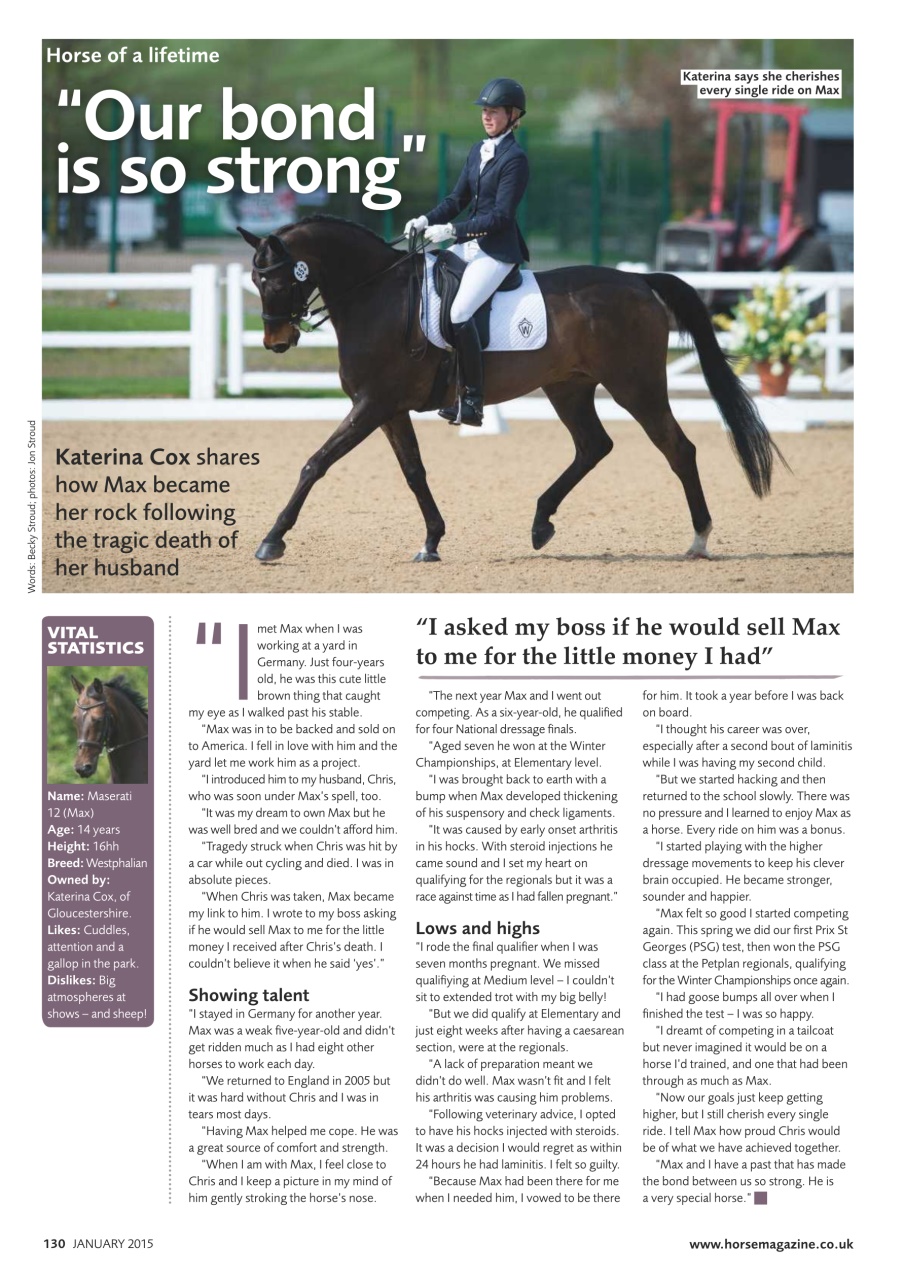 Horse Preview Pages