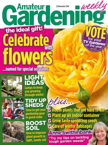 Amateur Gardening issue 22nd November 2014