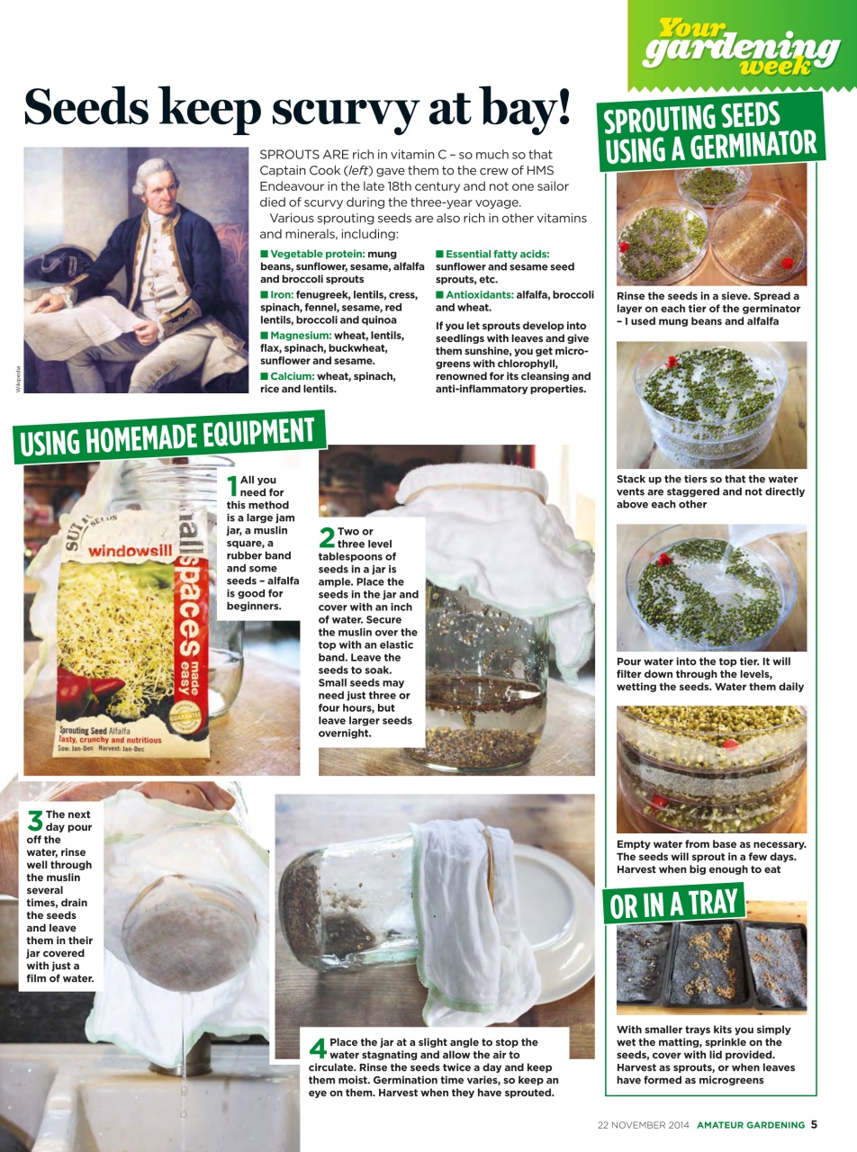 Amateur Gardening Preview Pages
