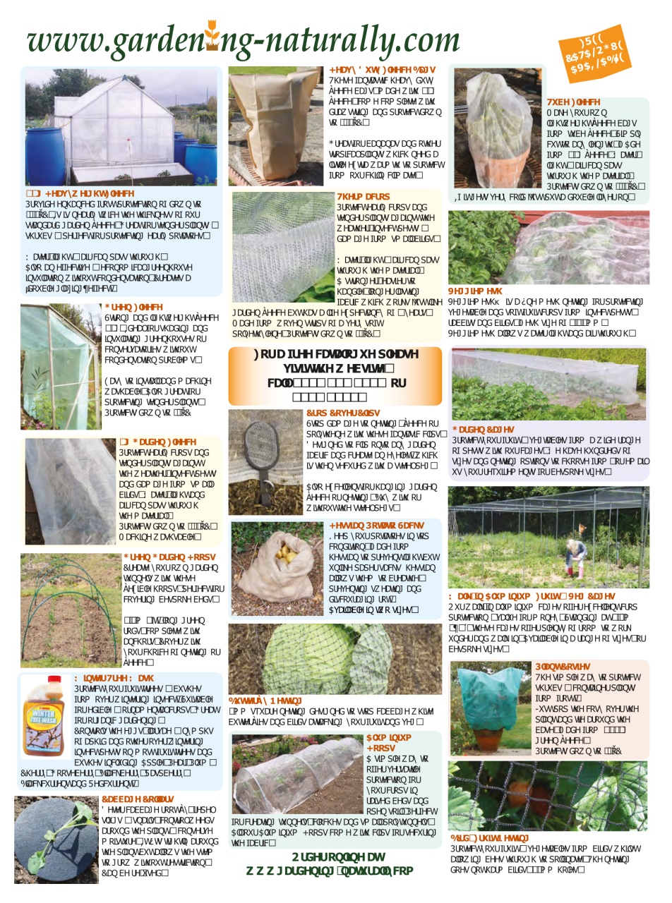 Amateur Gardening Preview Pages