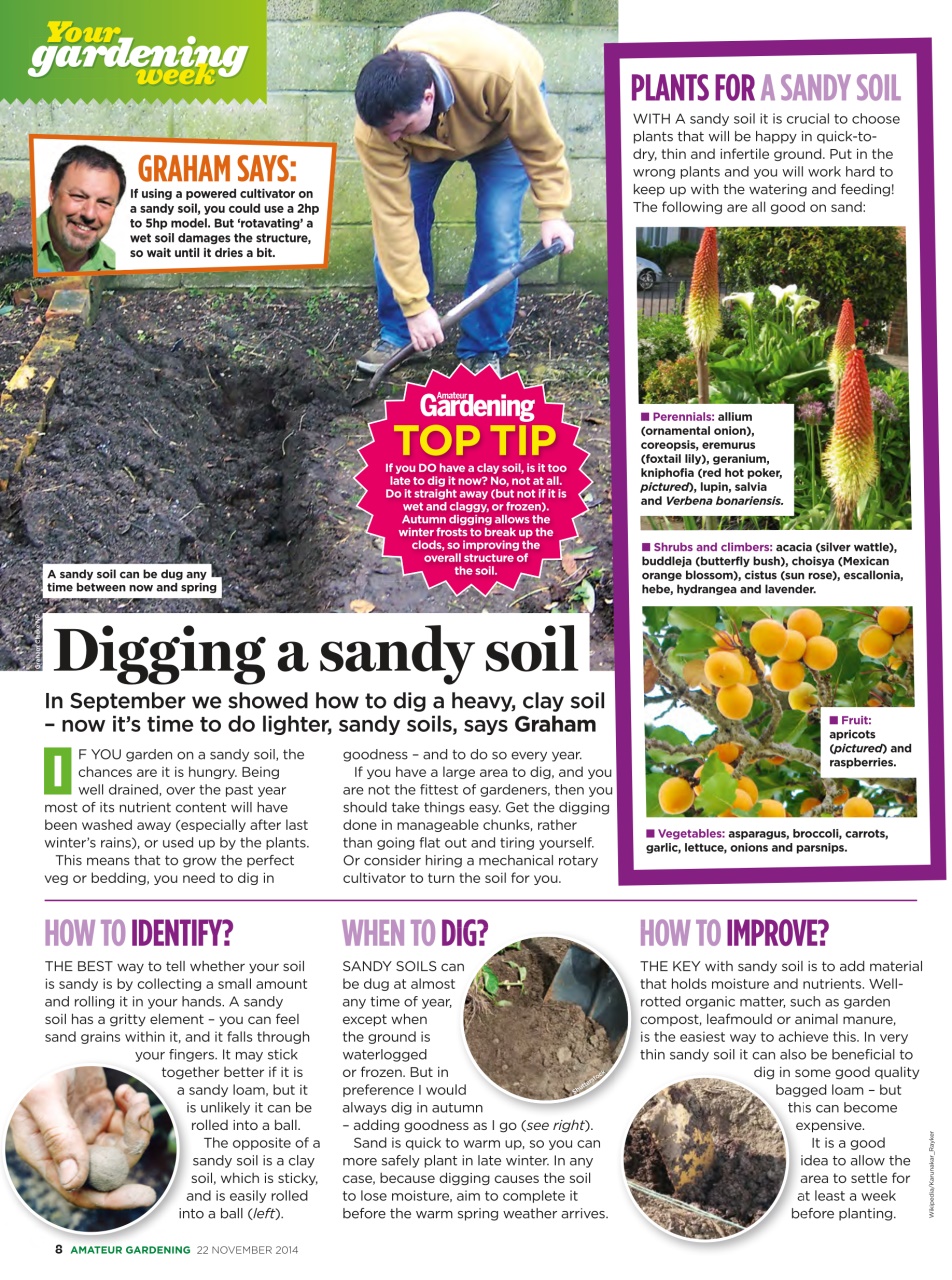 Amateur Gardening Preview Pages