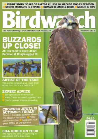 Birdwatch Magazine issue December 2014 Issue