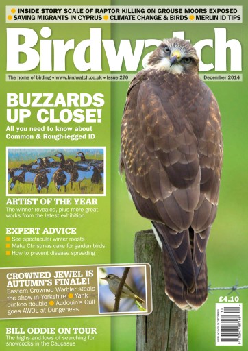 Birdwatch Magazine issue 