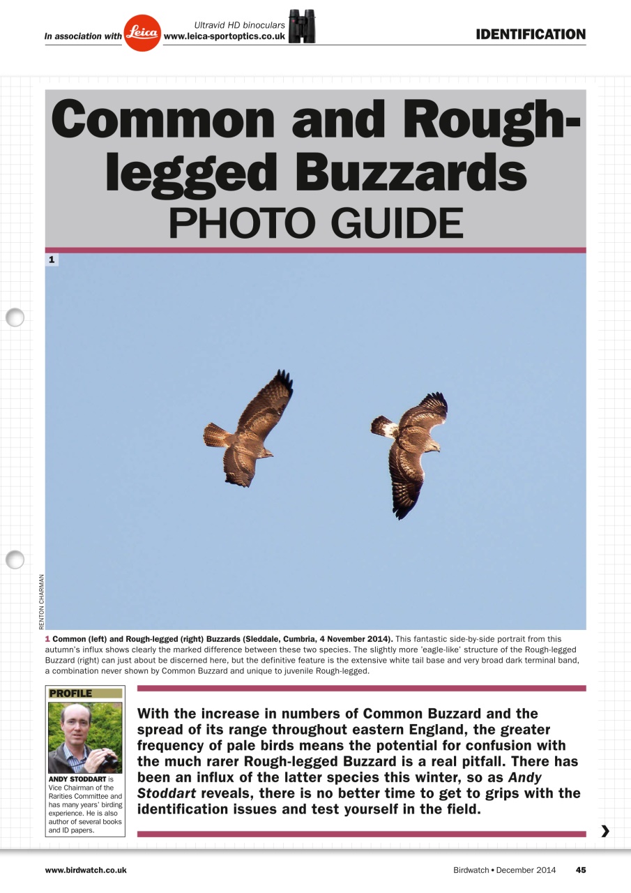 Birdwatch Magazine Preview Pages