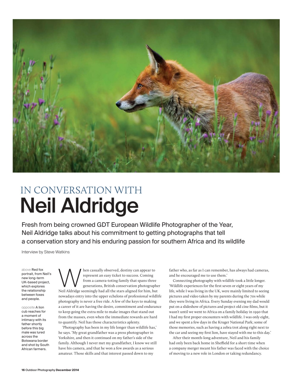 Outdoor Photography Preview Pages