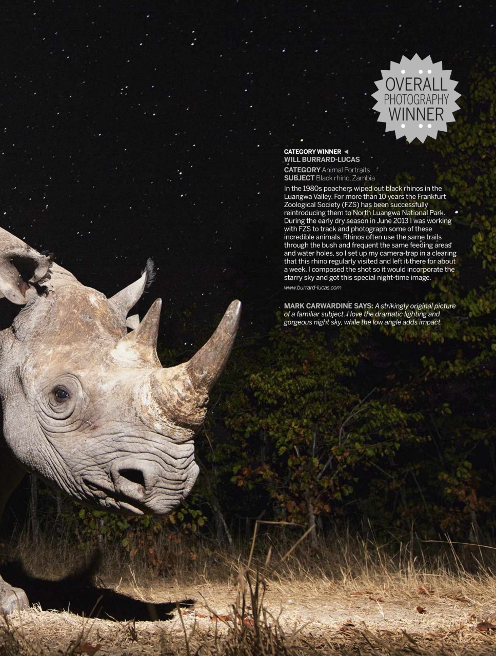 BBC Wildlife Magazine Preview Pages