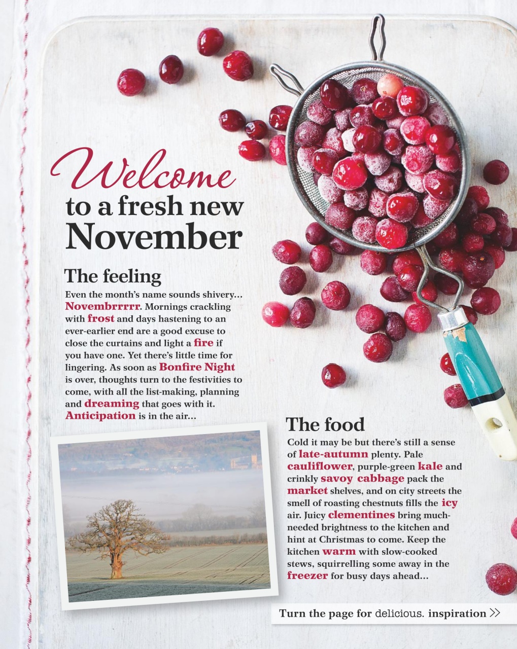 delicious. Magazine Preview Pages