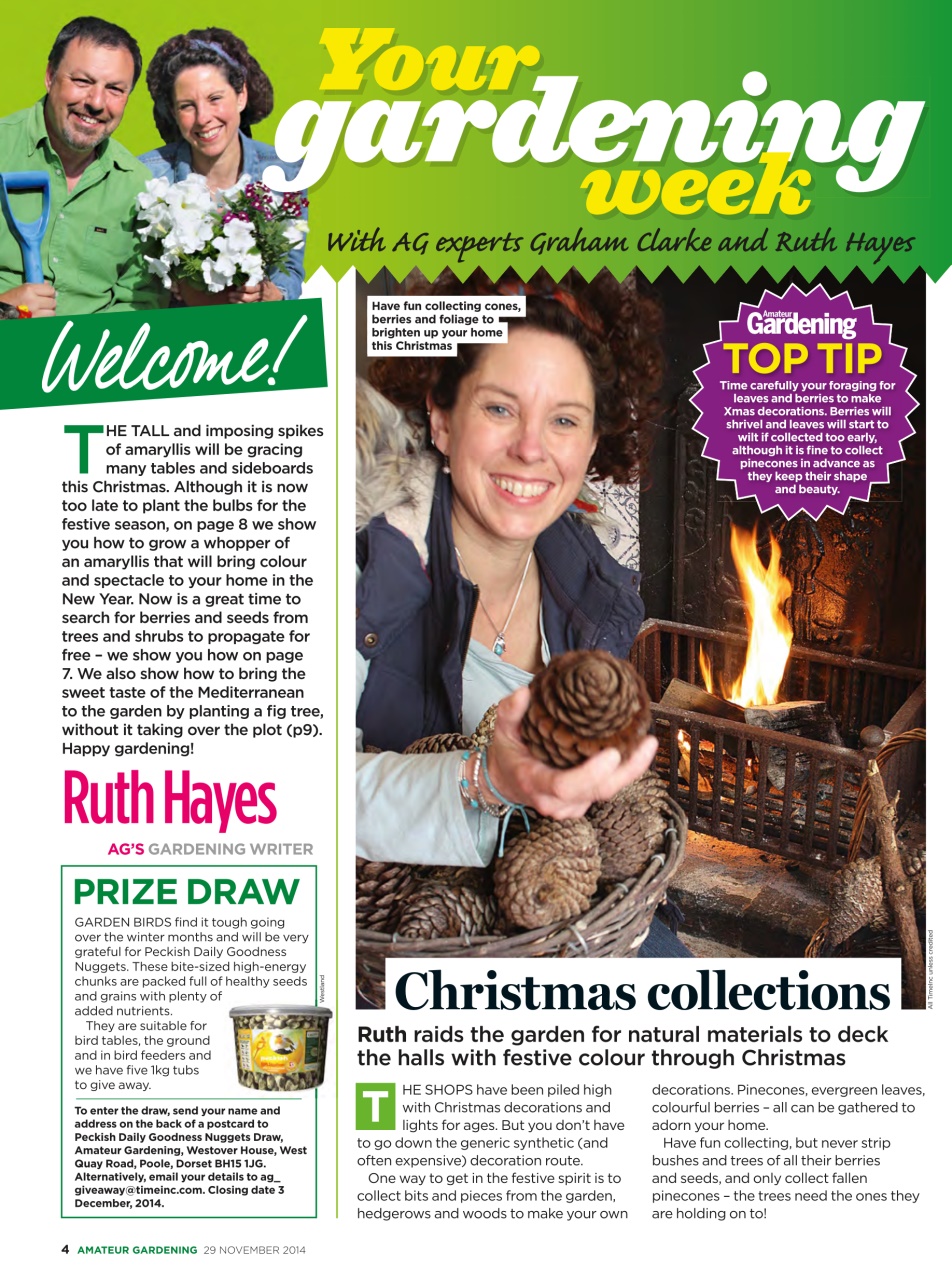 Amateur Gardening Preview Pages