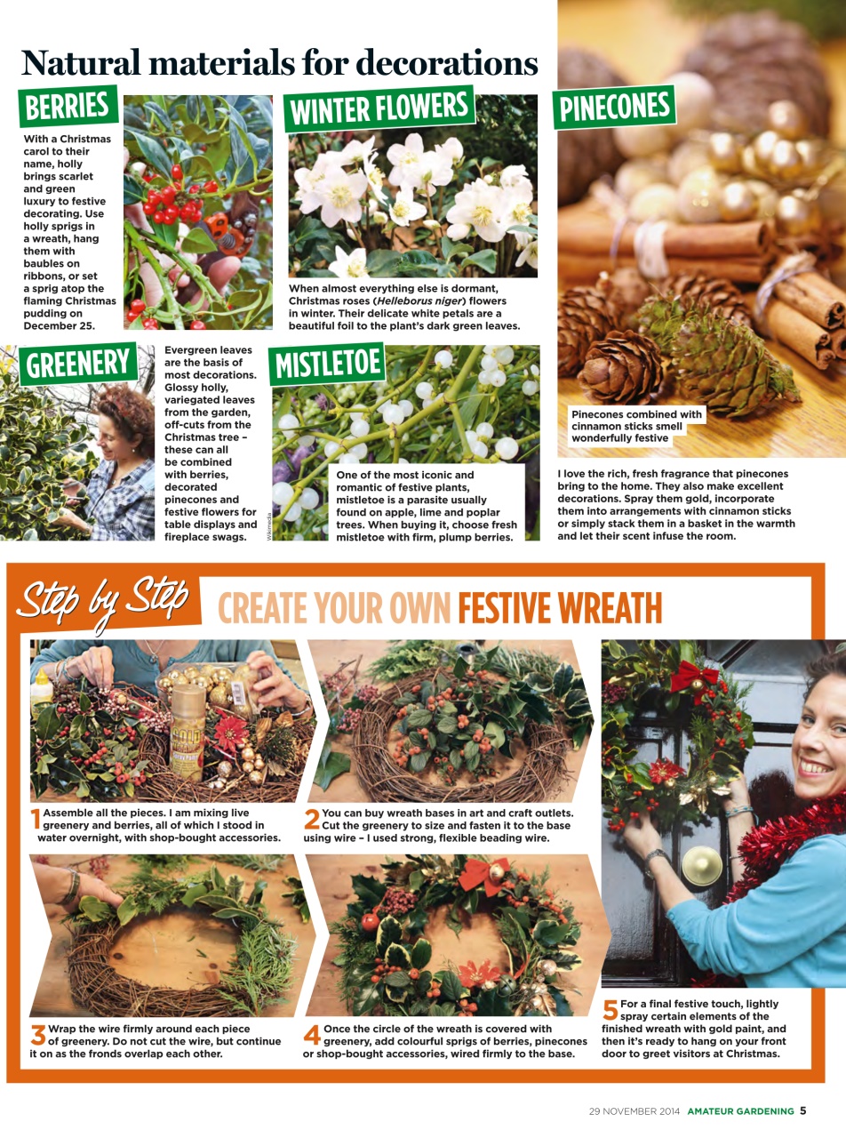Amateur Gardening Preview Pages