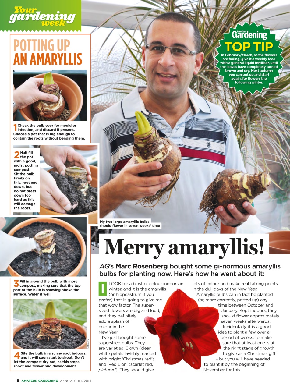 Amateur Gardening Preview Pages