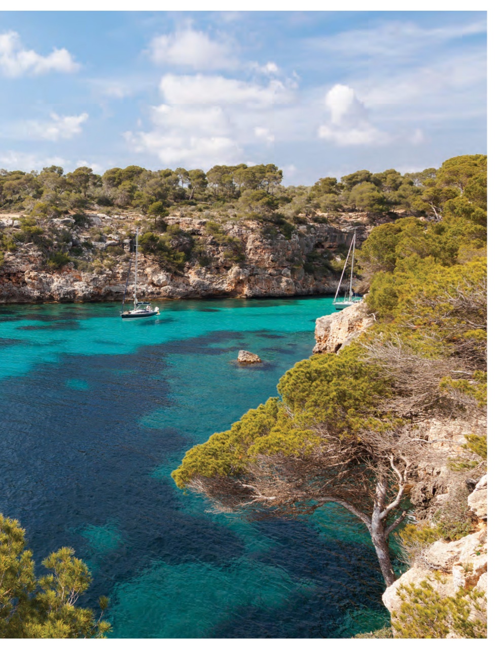 Sailing Today Preview Pages