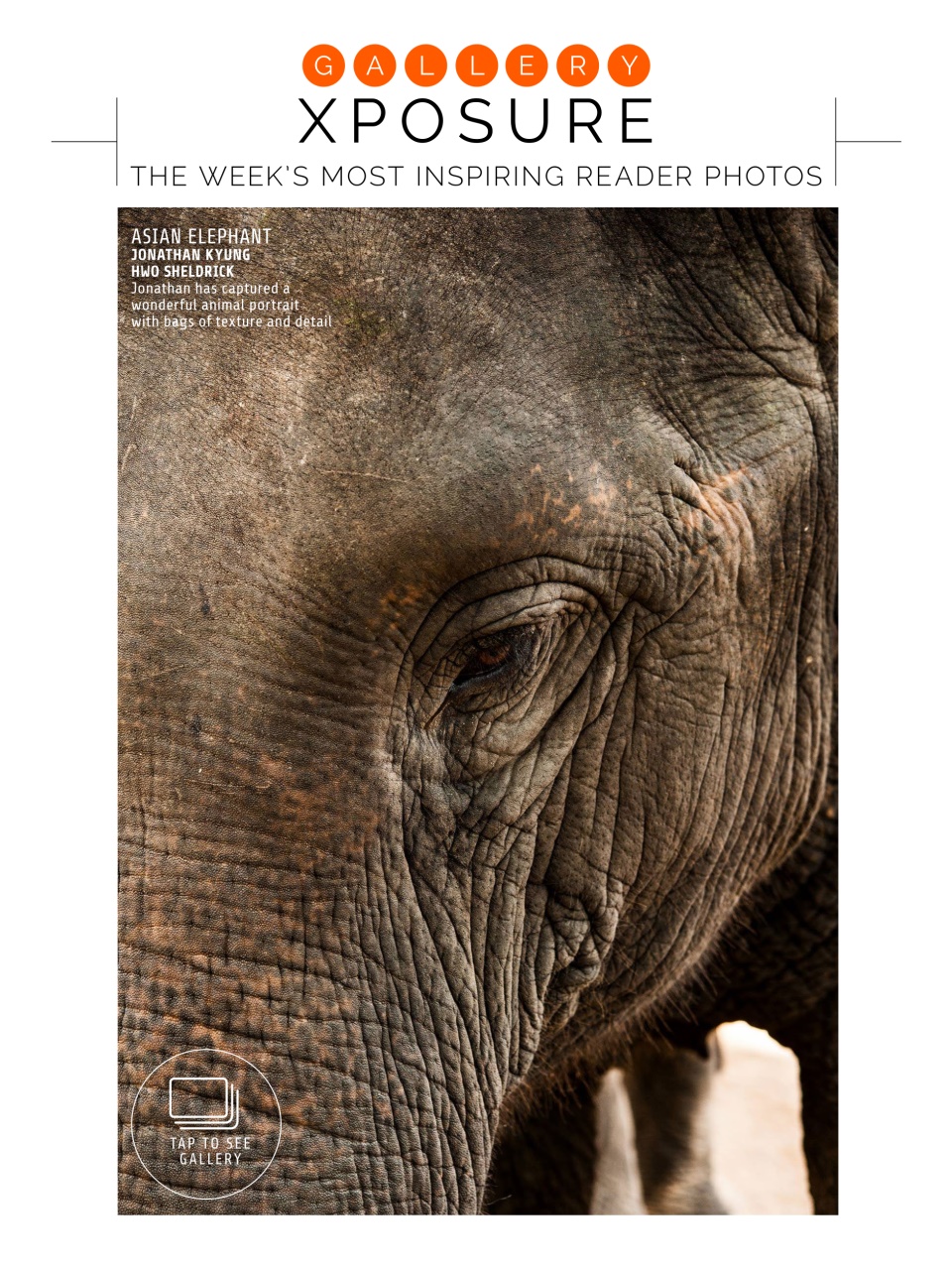 Photography Week Preview Pages