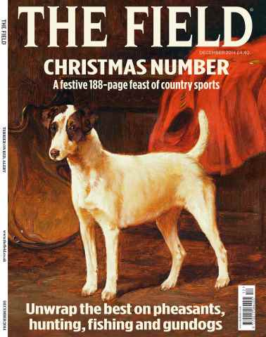 The Field issue Dec-14