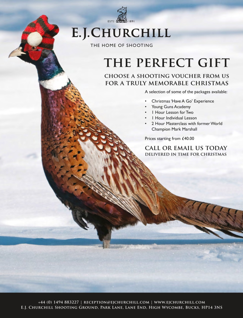 The Field Preview Pages