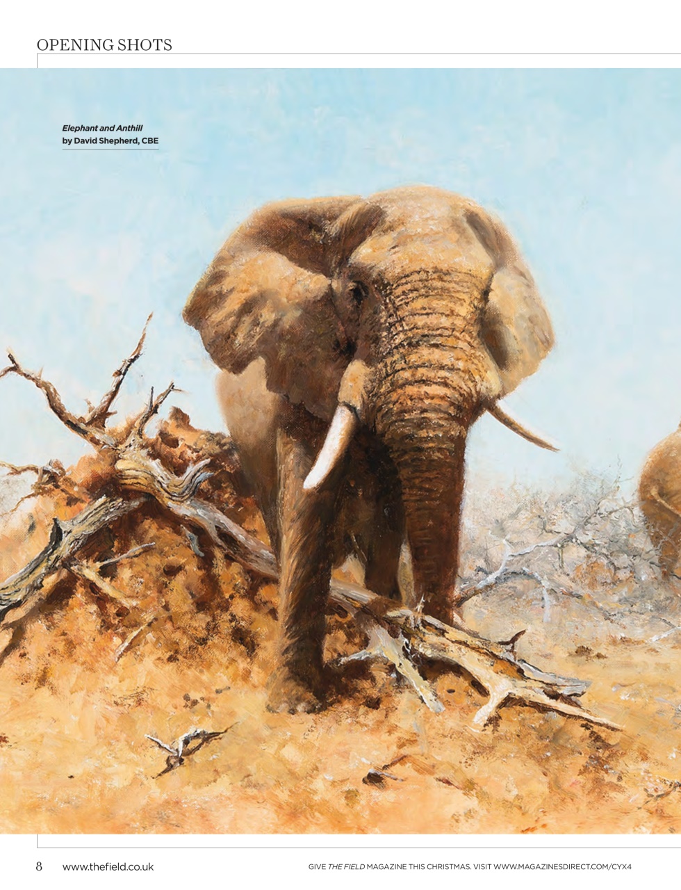 The Field Preview Pages