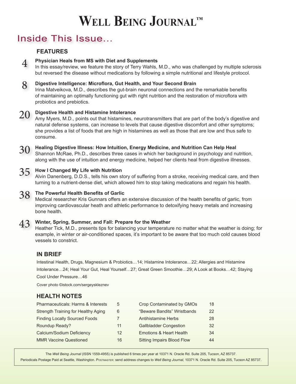 Well Being Journal Preview Pages