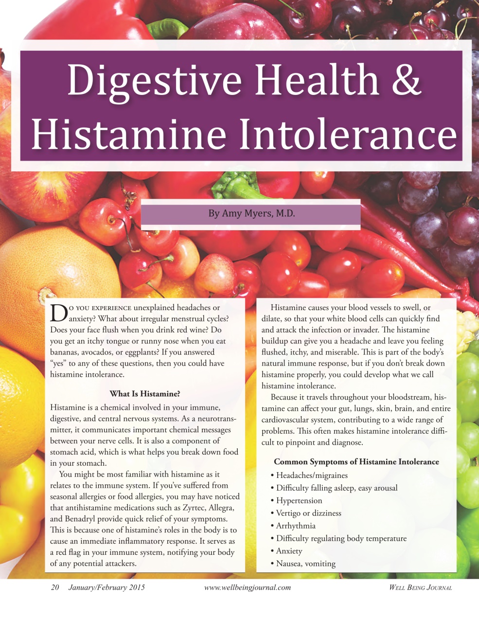 Well Being Journal Preview Pages