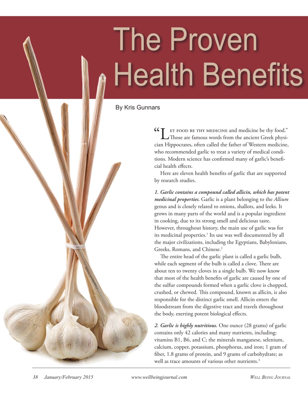 Well Being Journal Preview Pages