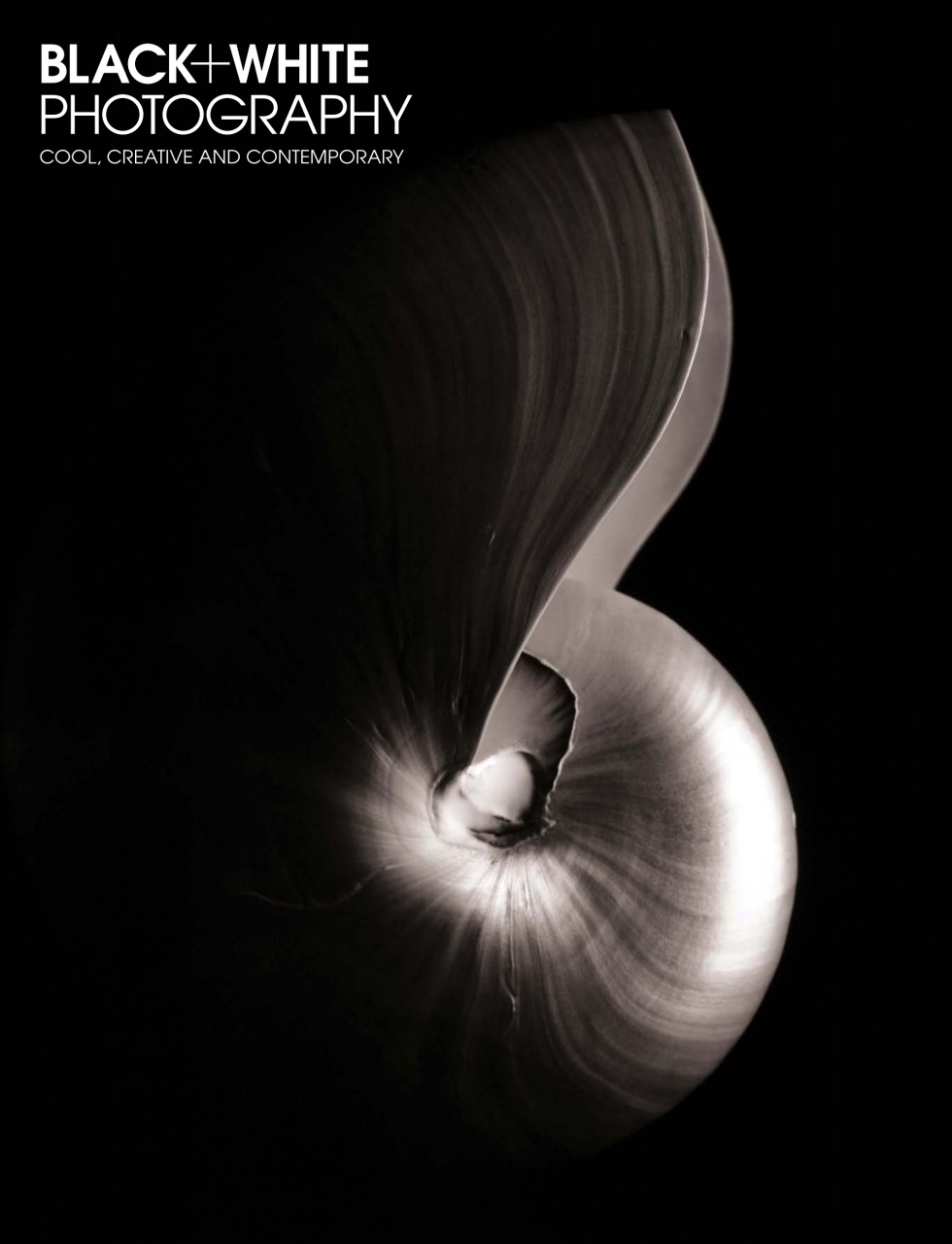 Black+White Photography Preview Pages