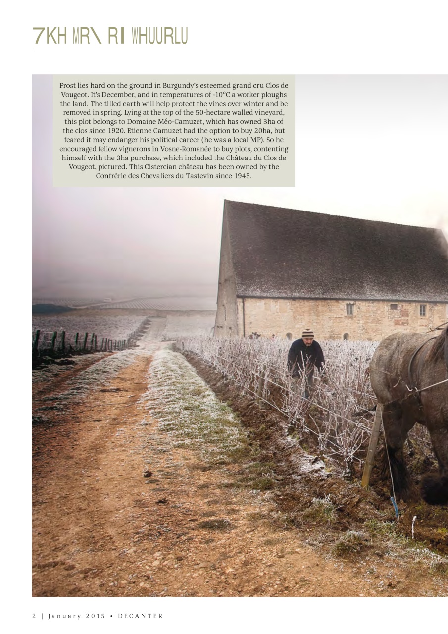 Decanter Preview Pages