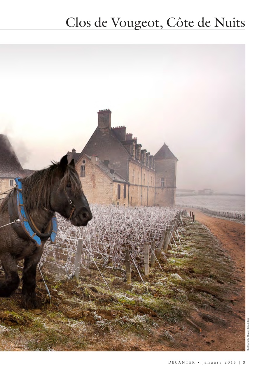 Decanter Preview Pages