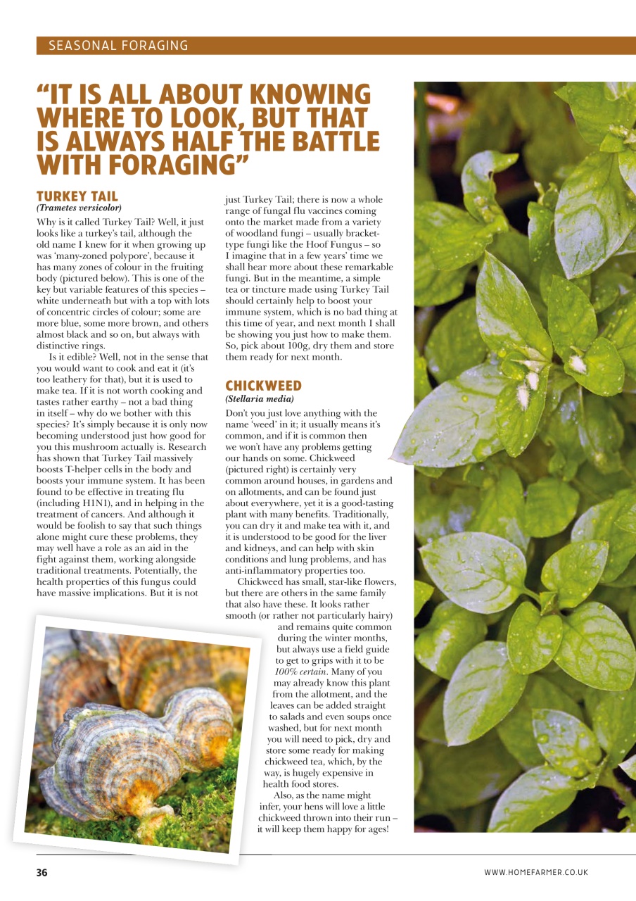 Home Farmer Magazine Preview Pages