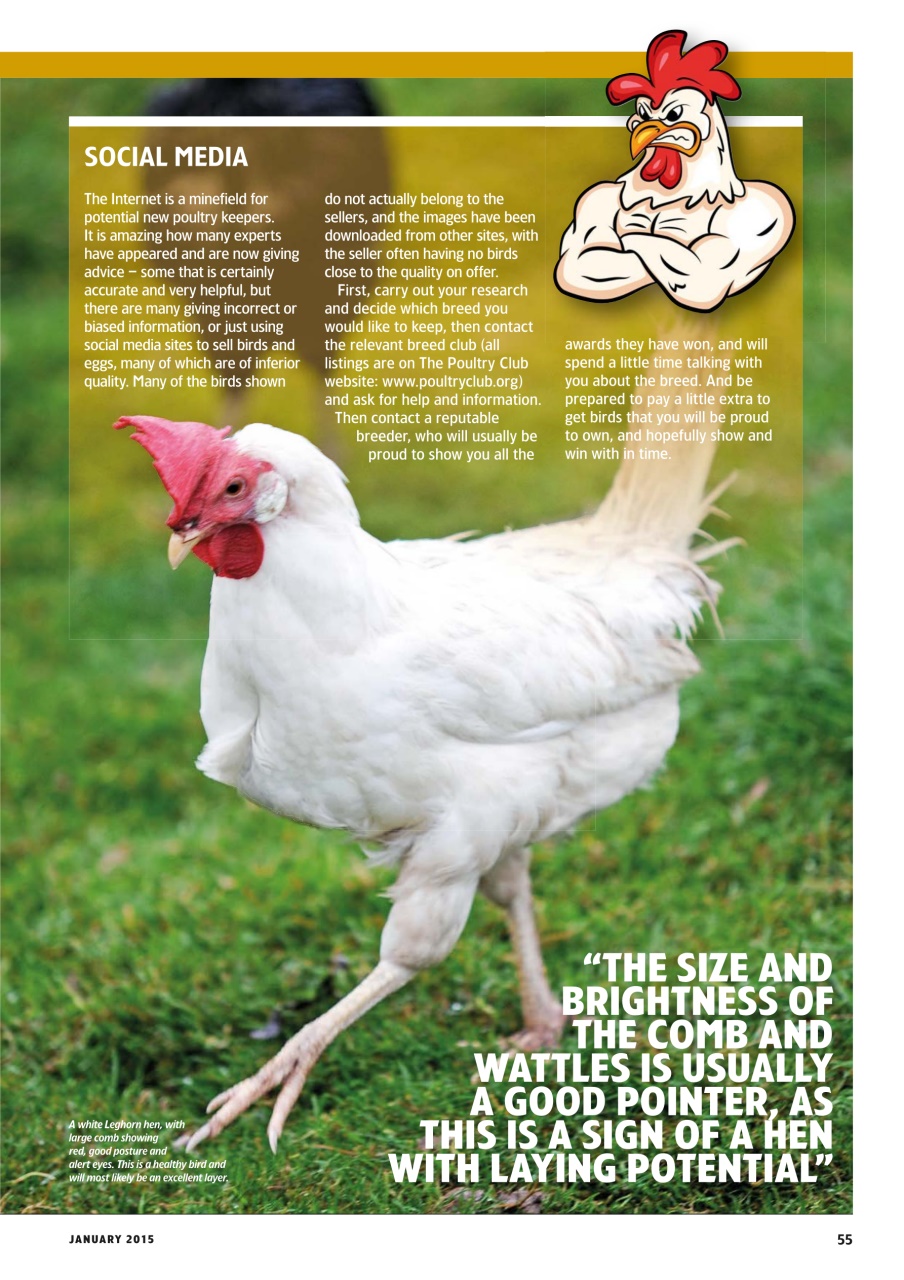 Home Farmer Magazine Preview Pages