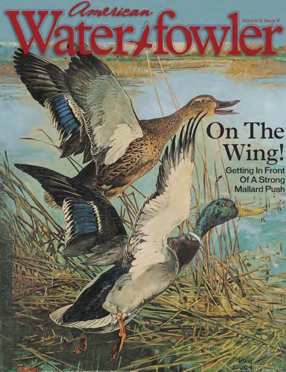 American Waterfowler Preview Pages