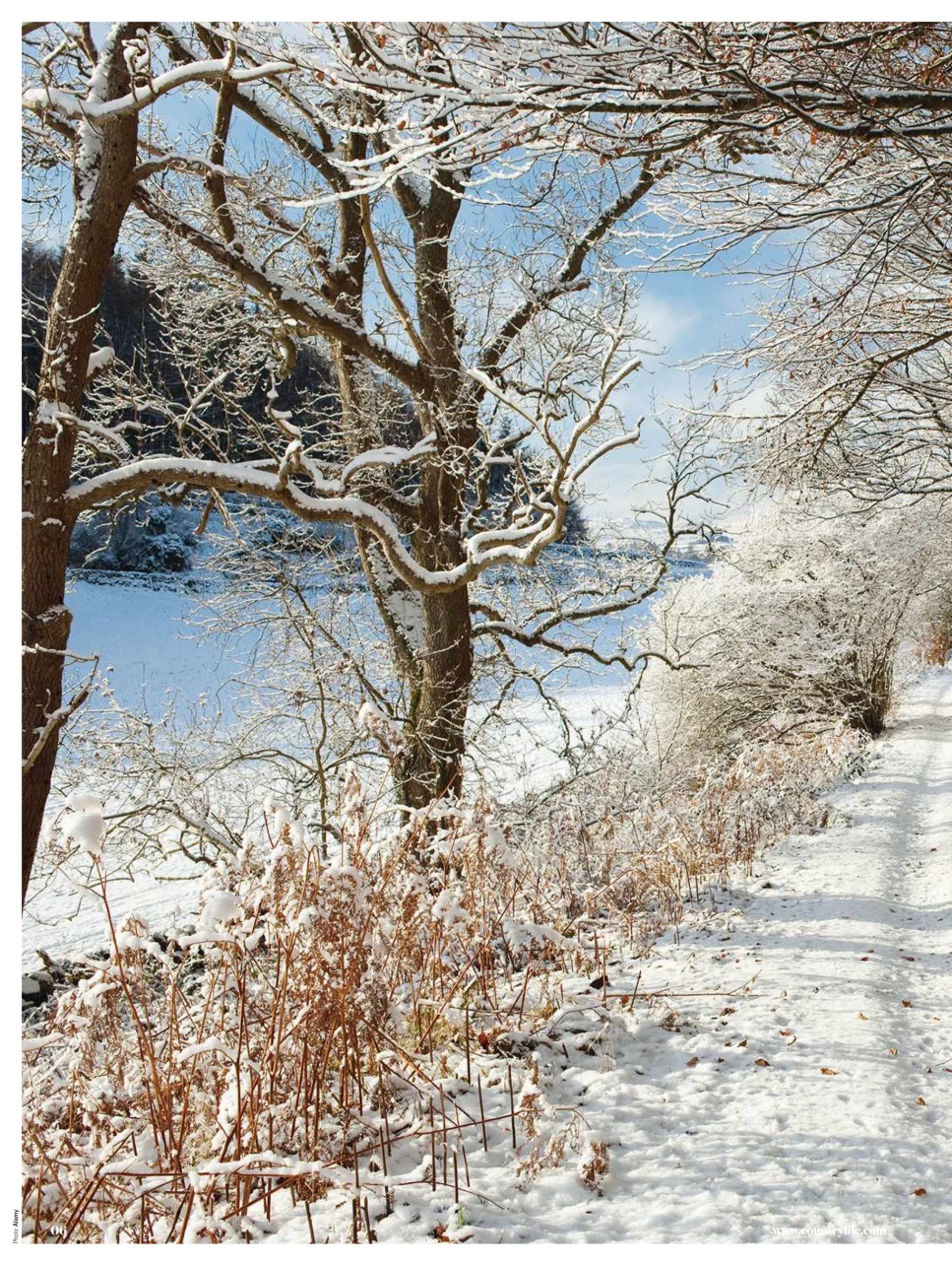 BBC Countryfile Magazine Preview Pages