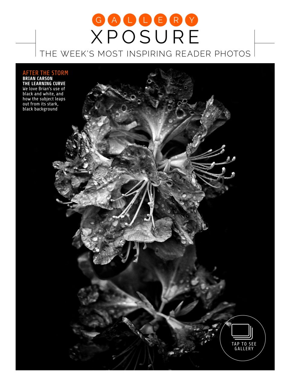 Photography Week Preview Pages