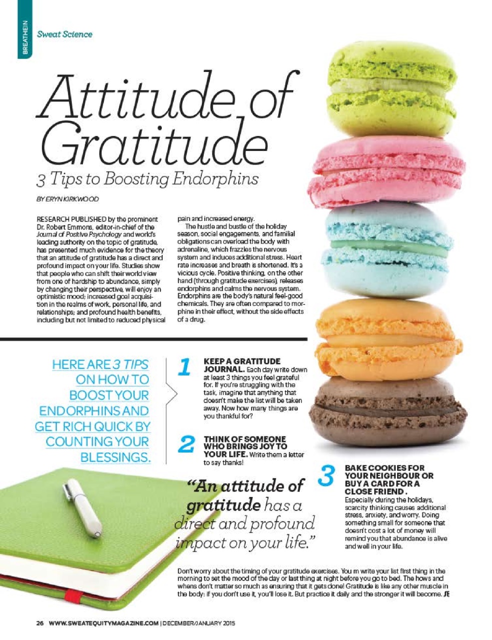 Sweat Equity Preview Pages