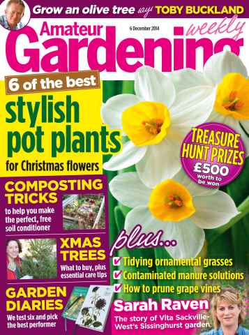 Amateur Gardening issue 6th December 2014