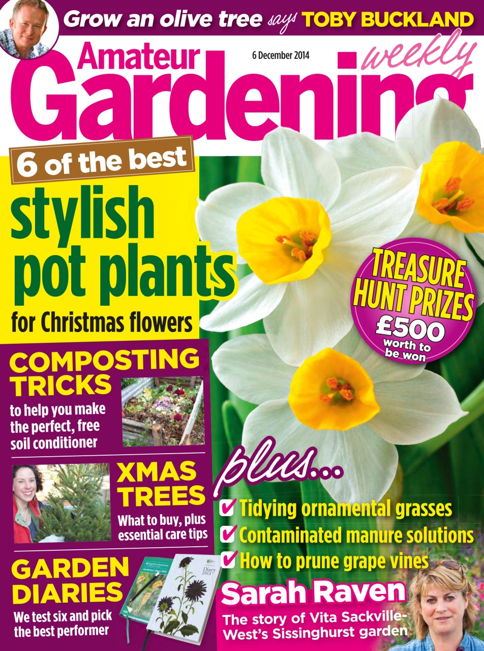 Amateur Gardening Preview Pages