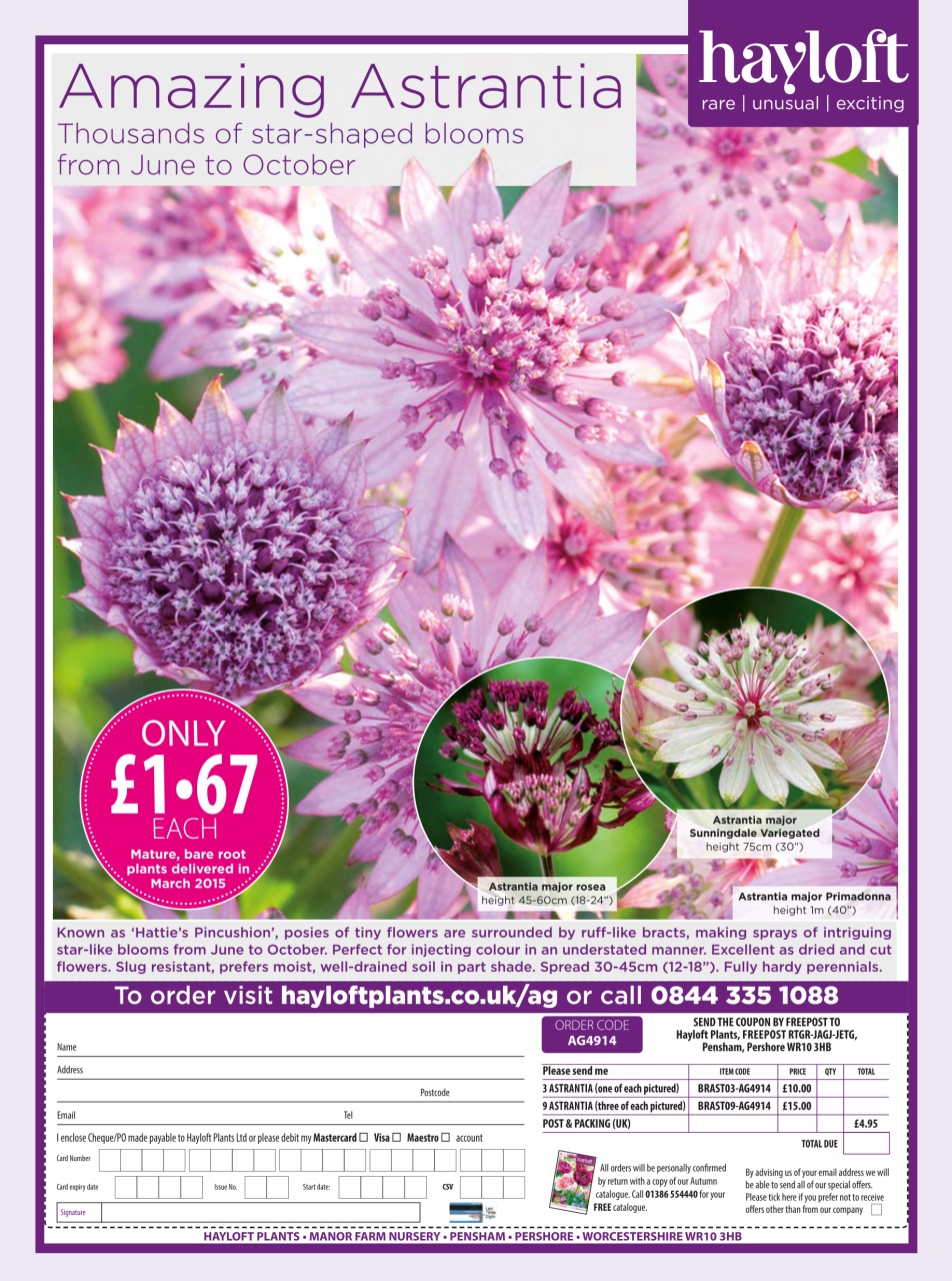 Amateur Gardening Preview Pages