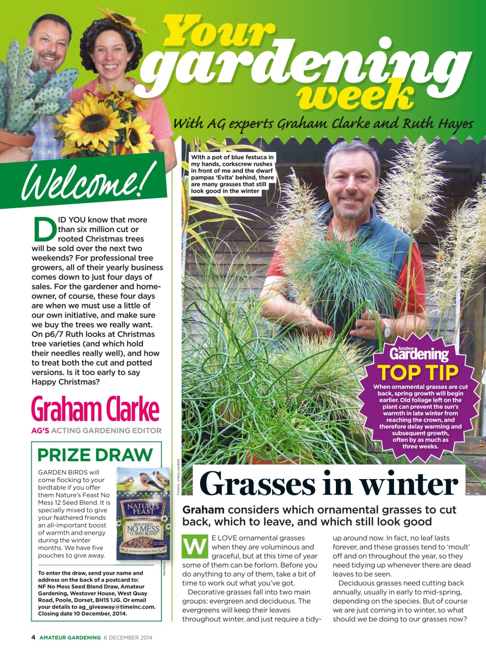 Amateur Gardening Preview Pages