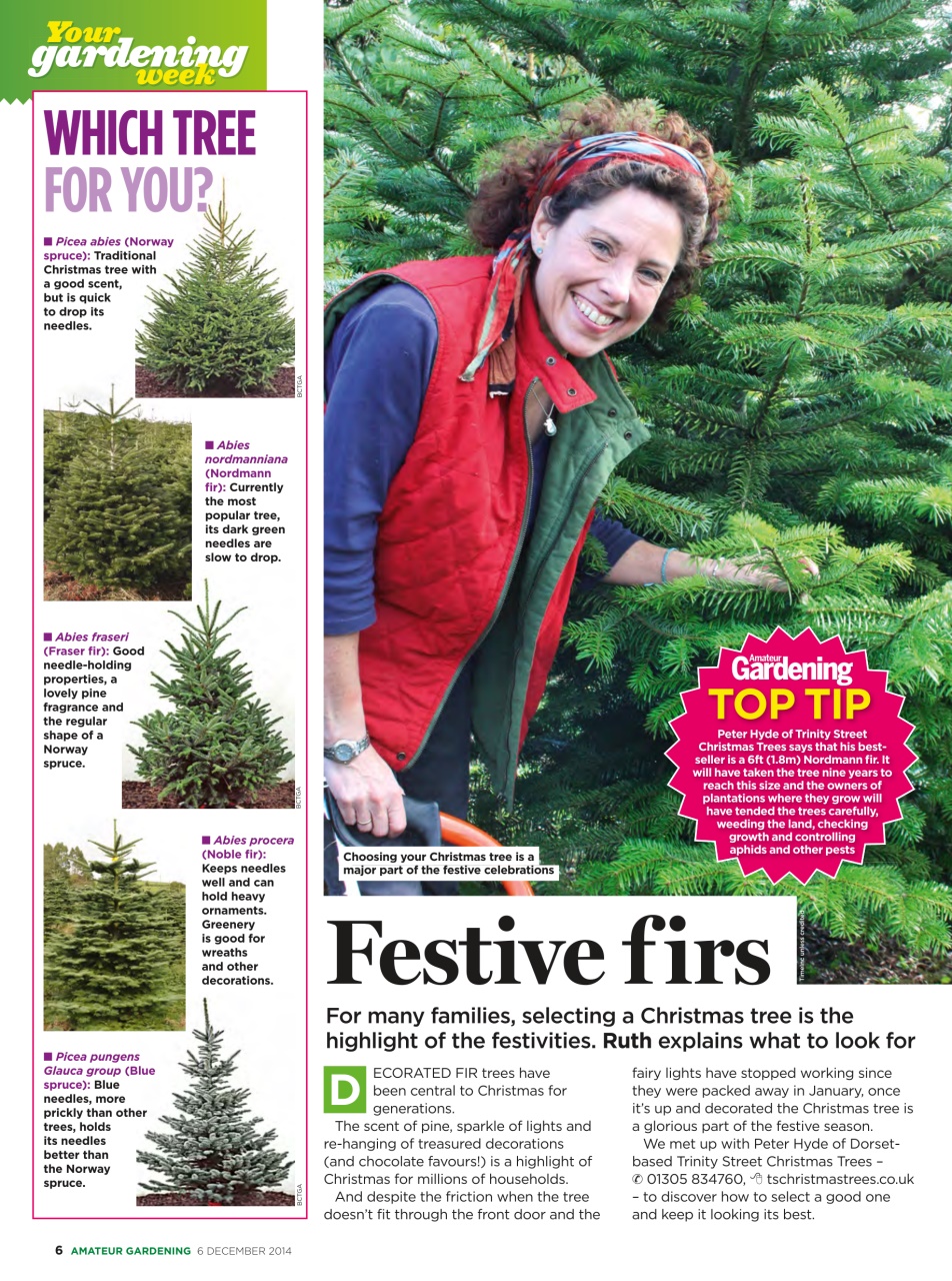 Amateur Gardening Preview Pages