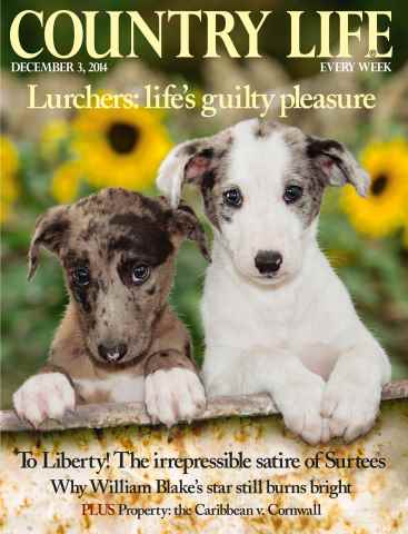 Country Life issue 3rd December 2014