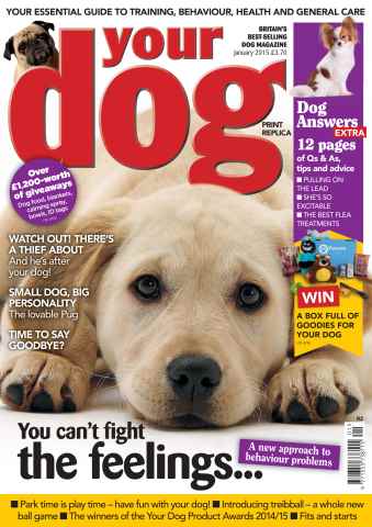 Your Dog issue Your Dog Magazine January 2015