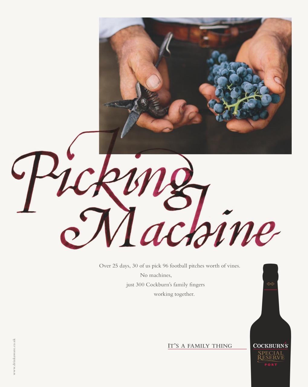 delicious. Magazine Preview Pages