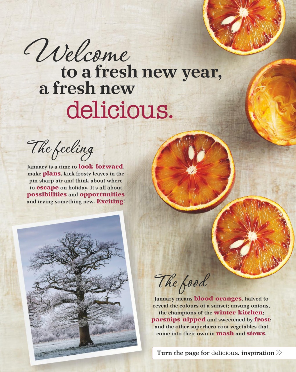 delicious. Magazine Preview Pages