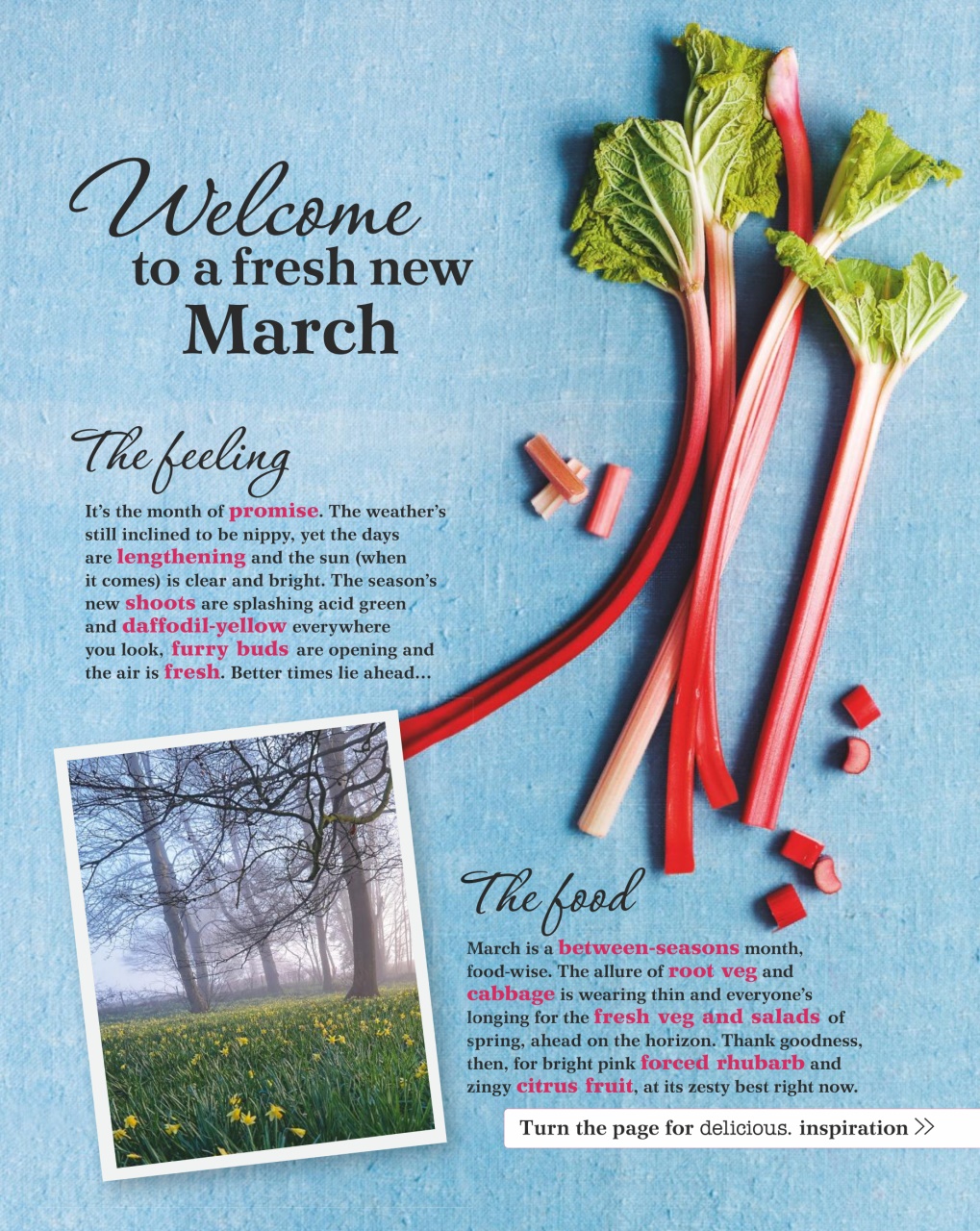 delicious. Magazine Preview Pages